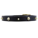 Leather Labrador Collar with Brass Skulls and Spikes
