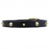 Leather Dog Collar with Row of Brass Spikes and Skulls