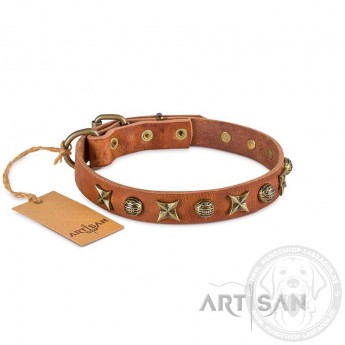  Ledernes Hundehalsband FDT Artisan mit Messing Halbsphären und Sternen