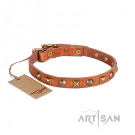 Messing Rhomben und Blumen-Nieten Lederhalsband 20 mm für Labrador