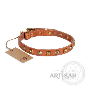 Messing Rhomben und Blumen-Nieten Lederhalsband 20 mm für Labrador