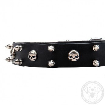 Leather Dog Collar with Nickel Spikes