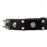 Leather Dog Collar with Nickel Spikes