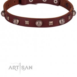 Mix-Nieten Lederhalsband von FDT Artisan für Labrador