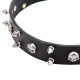 Leather Dog Collar with Nickel Spikes