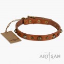 Ledernes Halsband mit einzgartigem Design von FDT Artisan für Labrador