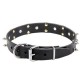 Leather Dog Collar with Nickel Spikes