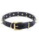 Leather Dog Collar with Brass Spikes