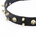Brass Spiked Leather Labrador Collar with Skulls