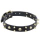 Leather Dog Collar with Brass Spikes