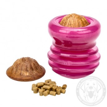 Großer "Groovy Ball" mit Leckerlis