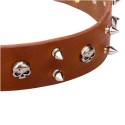 Wide Spiked Leather Labrador Collar with Skulls