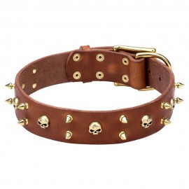 Spiked Leather Dog Collar Brass