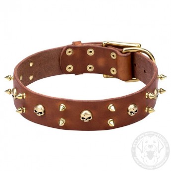 Spiked Leather Dog Collar Brass