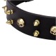 Spiked Leather Dog Collar Brass