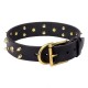 Spiked Leather Dog Collar Brass