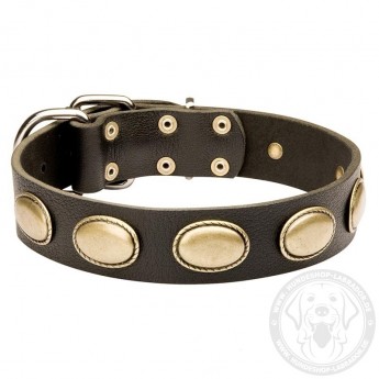 Vintage Design Lederhalsband für Labrador