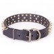 Neues Lederhalsband von FTD mit Messing Spikes