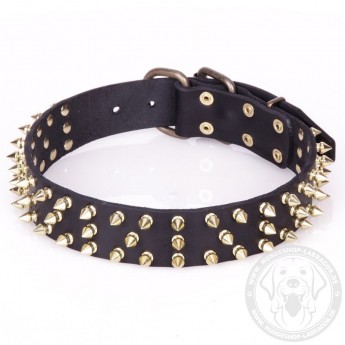 Neues Lederhalsband von FTD mit Messing Spikes