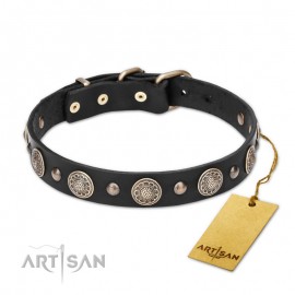 "Shining Stars"  Leather Dog Collar 30 mm for Labrador