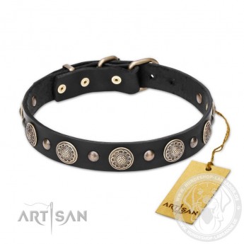 "Shining Stars"  Leather Dog Collar 30 mm for Labrador