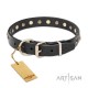 "Shining Stars"  Leather Dog Collar 30 mm for Labrador