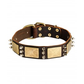 Leather Dog Collar with Spikes and Brass Plates