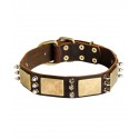 Labrador Collar of Leather with Spikes and Brass Plates