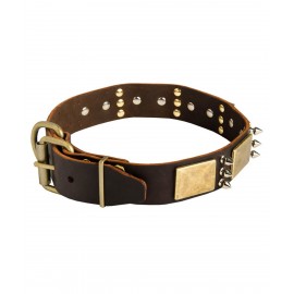 Leather Dog Collar with Spikes and Brass Plates