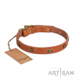 Himmlisches Lederhalsband von FDT Artisan für Labrador