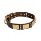 Leather Dog Collar with Spikes and Brass Plates