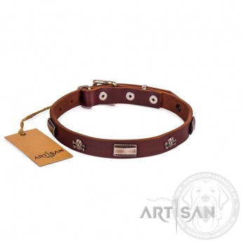 Unvergleichbares Lederhalsband für Labrador von FDT Artisan