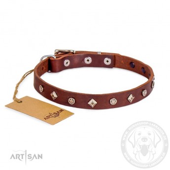 Designer Lederhalsband mit Rhomben und Sterne für Labrador