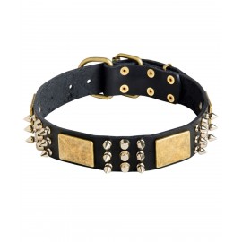 Spiked Leather Collar with Old Brass Plates