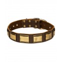 Leather Dog Collar for Labrador with Brass Plates