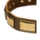 Leather Dog Collar with Brass Plates