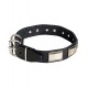 Wide Leather Dog Collar with Nickel Plates