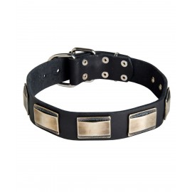 Wide Leather Dog Collar with Nickel Plates