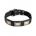 Leather Dog Collar for Labrador with Nickel Plates