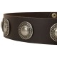 Leather Dog Collar with Nickel Conchos