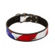 Hand Painted Leather Dog Collar American Pride