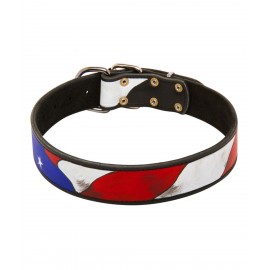 Hand Painted Leather Dog Collar American Pride