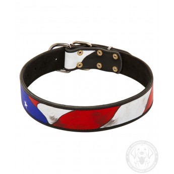 Hand Painted Leather Dog Collar American Pride