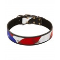 Labrador Collar Leather Hand Painted, American Pride