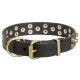 Fashionably Studded Leather Labrador Collar