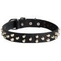 Pyramids Studded Leather Labrador Collar