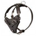 Super Strong Padded Leather Labrador Harness