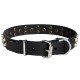 Leather Dog Collar with Nickel Pyramids