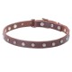 Dog Collar Made of Leather with Nickel Decorations