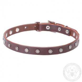 Dog Collar Made of Leather with Nickel Decorations